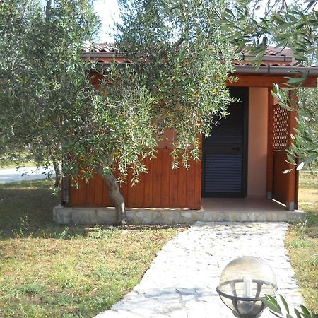 ויאסטה Santa Maria Villaggio Turistico מראה חיצוני תמונה